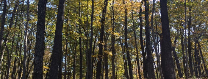 Spring Mill State Park is one of Trips Home.