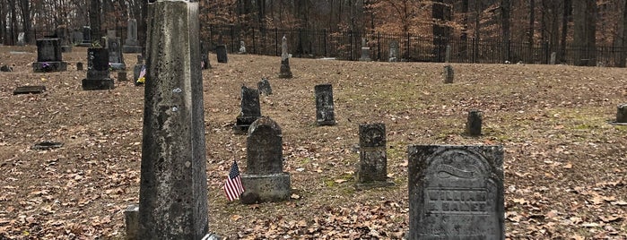 Hamer Pioneer Cemetery is one of Trips Home.