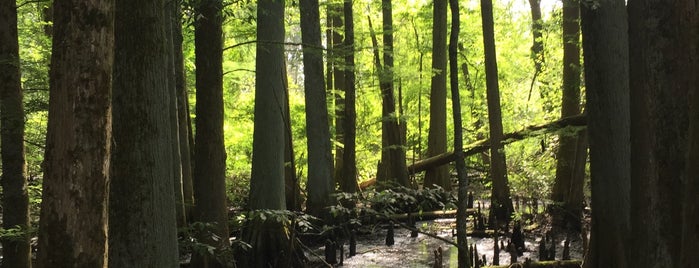 Wheeler National Wildlife Refuge is one of National Recreation Areas.