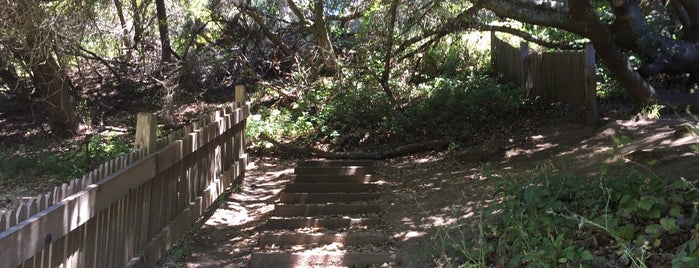 Earthquake Trail is one of San Francisco.