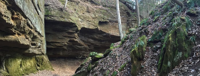 Shades State Park is one of Orte, die Stacy gefallen.