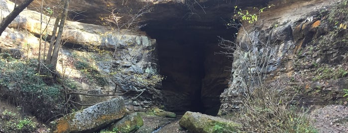 Donaldson Cave State Nature Preserve is one of Favorite Places in Indiana.