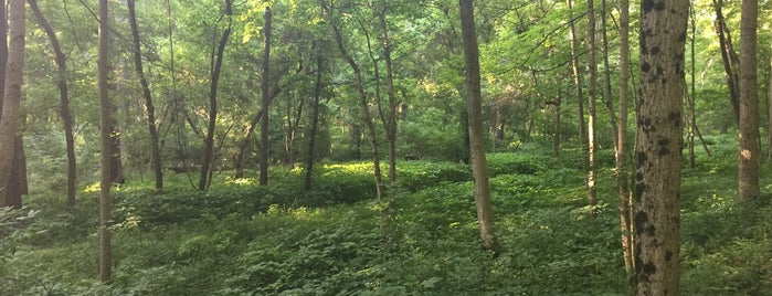 Warbler Woods Nature Preserve is one of Maggie : понравившиеся места.