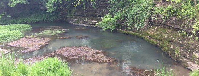 McConnell Springs Park is one of Kentucky.