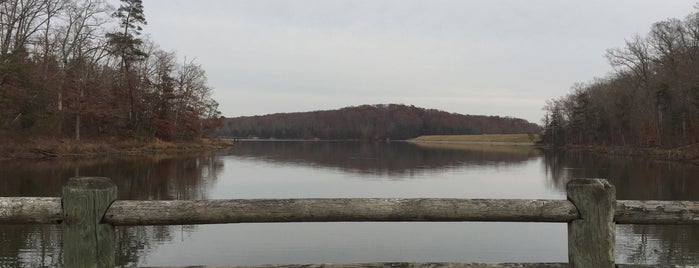 Deam Lake State Recreation Area is one of Trips Home.