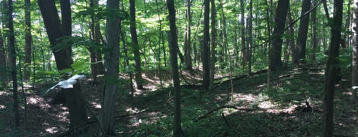 Fort Hill Earthworks and Nature Preserve is one of Ohio History.