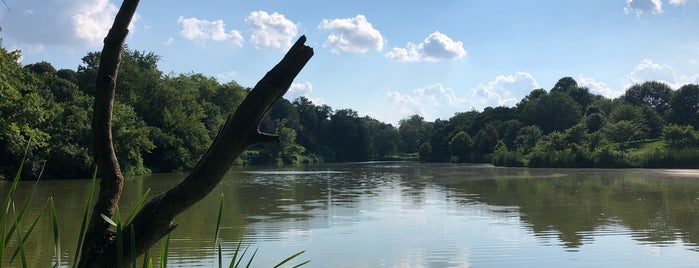 Cherokee Park Pond is one of Lugares favoritos de Mark.