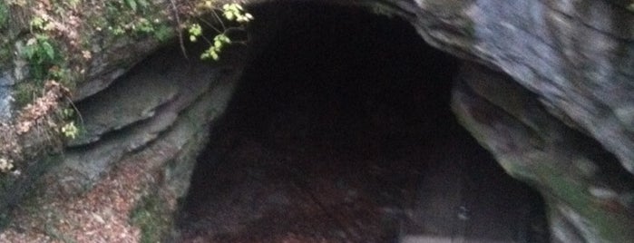 Mammoth Cave Historic Entrance is one of Tempat yang Disukai Kyle.