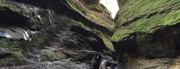 Turkey Run State Park is one of camping.