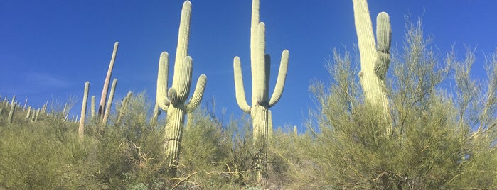 Mount Lemmon is one of Tucson Desert Weekend.