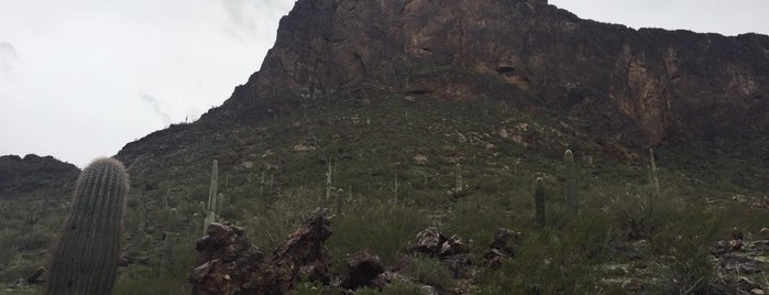 Picacho Peak State Park is one of Locais curtidos por eric.