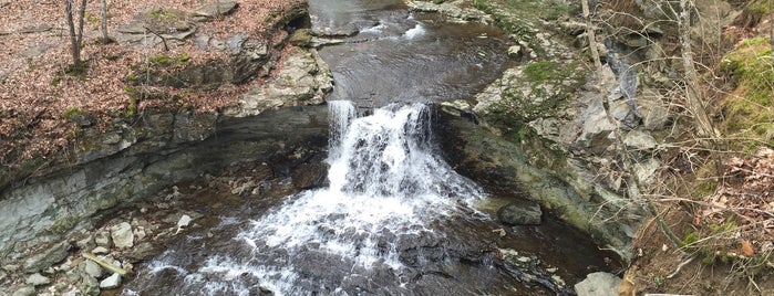 McCormick's Creek State Park is one of Dood Friendly & Fun!.
