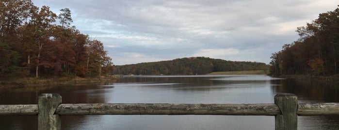Deam Lake State Recreation Area is one of Trips Home.
