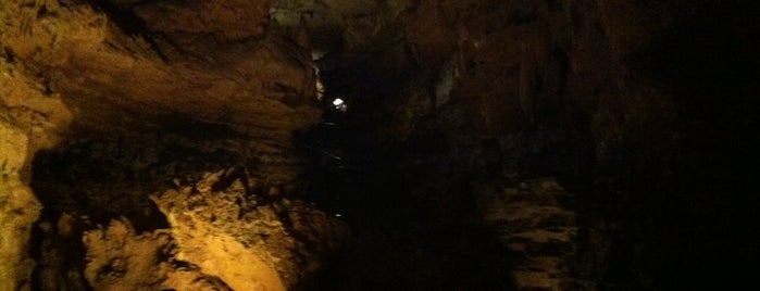 Indiana Caverns is one of Take my kids bucket list.