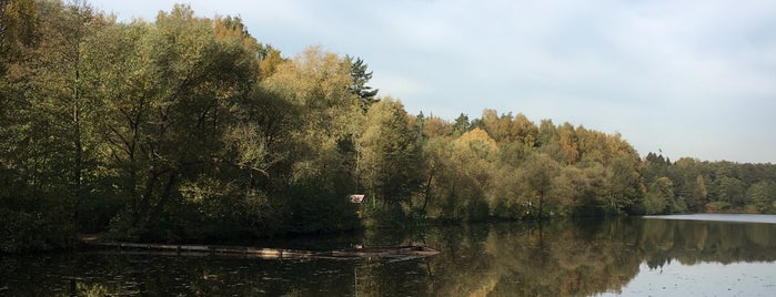 Тарелочкин пруд is one of Грабли.