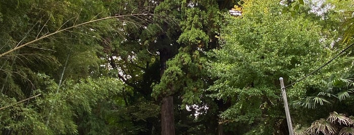 白山神社 is one of 神奈川西部の神社.