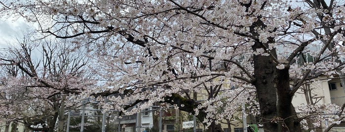 小山台公園 is one of 公園.