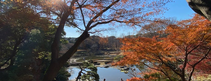 Ninomaru Garden is one of สถานที่ที่ ぎゅ↪︎ん 🐾🦁 ถูกใจ.