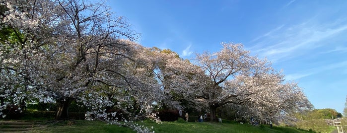 大宮第二公園 is one of Saitama Central.