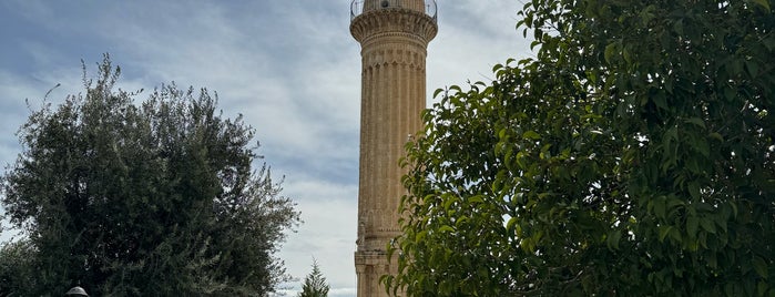 Zeynel Abidin Camii ve Türbesi is one of Mardin.