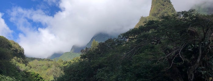 Iao valley is one of Maui 🏝🌺.