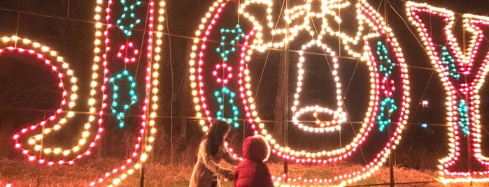 Ozark Mountain Christmas Lights & Village is one of Christmas Hot Spots.