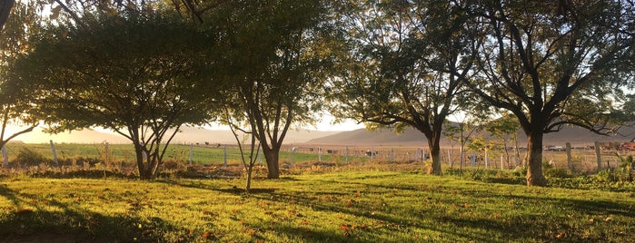 La Cava de Marcelo is one of Baja...wine*food*fun.