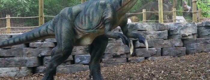 Dinosaurs Alive is one of Theme Parks.
