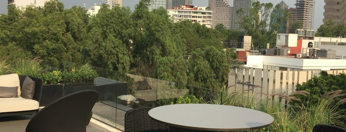 Massimo Dutti Rooftop - Polanco is one of Enrique : понравившиеся места.