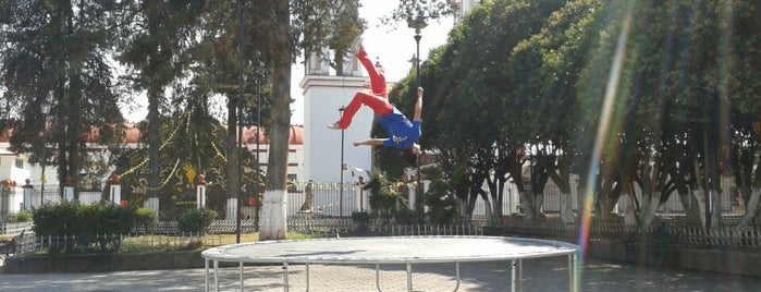 Plaza Sn Fco Tlalcilalcalpan is one of Posti che sono piaciuti a Angeles.