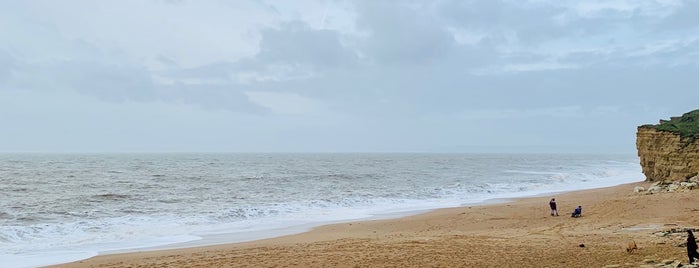 Hive Beach Cafe is one of Dorset food.