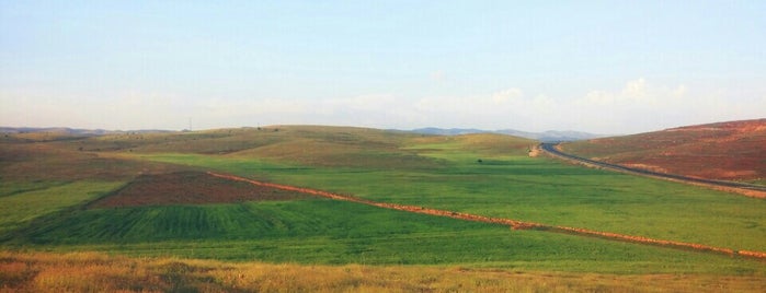 Bariştepe Köyü(Selhe) is one of Orte, die Dr.Gökhan gefallen.