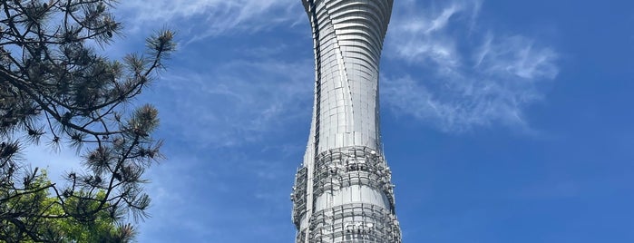 Çamlıca Kulesi is one of Anadolu Yakası Turu.