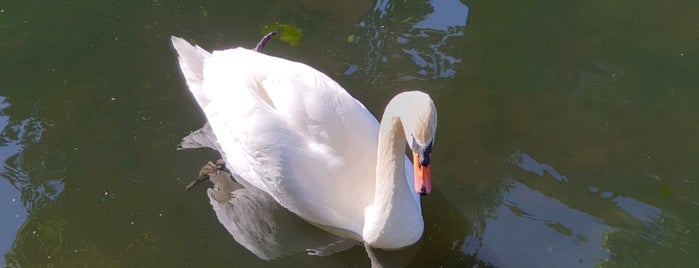 Ornamental Canal is one of Orte, die Luke gefallen.