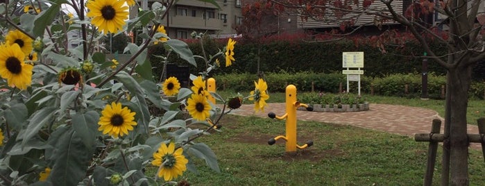 千歳台三角公園 is one of All-time favorites in Japan.