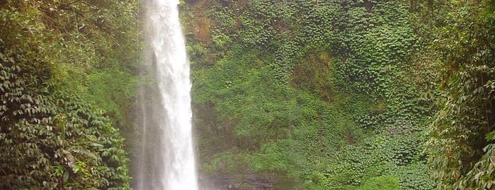Nungnung Waterfall is one of Bali.