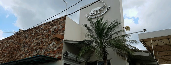 Pescados y Mariscos is one of Restaurantes.