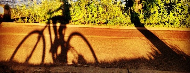 Lake Calhoun Trail is one of Minneapolis, MN.