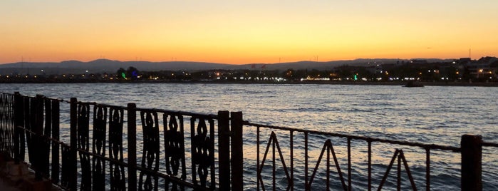 Şarkoy Liman is one of Tempat yang Disukai Cüneyt.