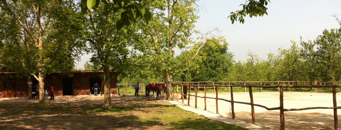 Cevizdibi Restaurant is one of nature.