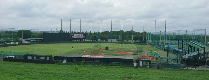 ヤクルト戸田球場 is one of 野球場.