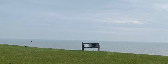 Tankerton Beach is one of Great Britain.