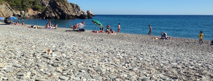Playa del Cañuelo is one of Axarquia - eat, drink maybe swim.
