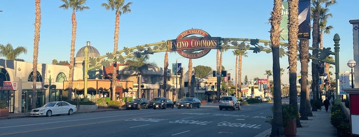 Encino Commons is one of Shopping.