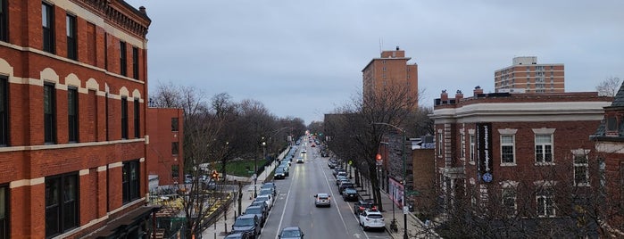 CTA - Damen is one of Work route.