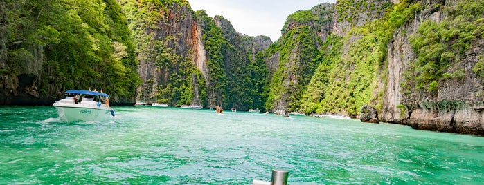 Asian Dolphins tours is one of Thailand.