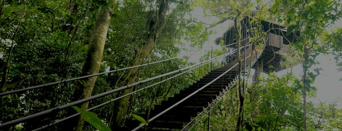 Sensoria Rainforest Walk is one of SJO/LIR 🇨🇷.