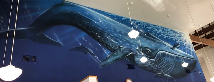 Leroy's Blue Whale is one of สถานที่ที่ Lisa ถูกใจ.