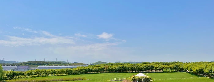 Agroland Taeshin Farm is one of 가자_남쪽.