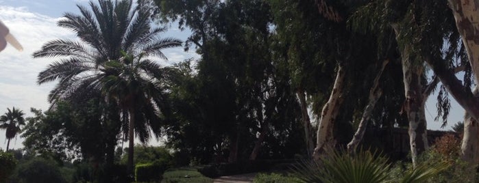 The Palm Jebel Ali is one of Dr.Gökhanさんのお気に入りスポット.